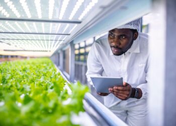 Entrepreneurship Opportunities in Agribusiness: Unlocking Potential for Growth