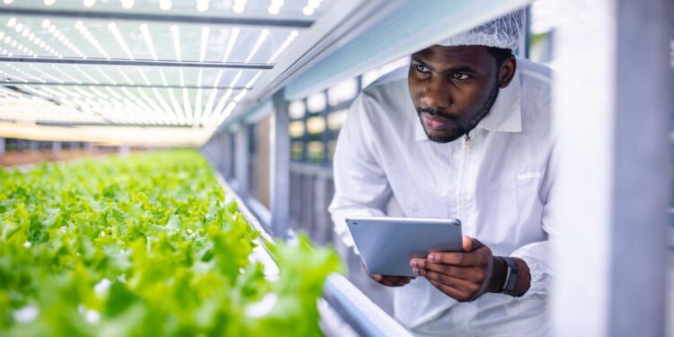 Entrepreneurship Opportunities in Agribusiness: Unlocking Potential for Growth