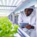 Entrepreneurship Opportunities in Agribusiness: Unlocking Potential for Growth