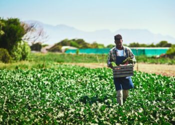  Exploring the Elusive Nature of Agricultural Opportunities
