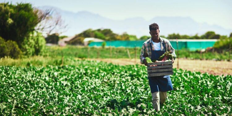  Exploring the Elusive Nature of Agricultural Opportunities