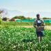  Exploring the Elusive Nature of Agricultural Opportunities