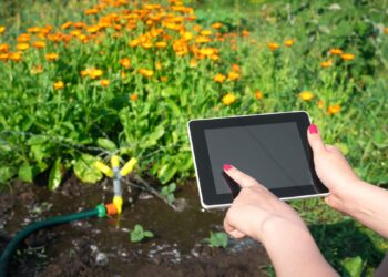 Harnessing the Power of Data in Agriculture: The Rise of Farm Management Systems