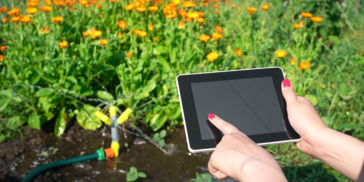 Harnessing the Power of Data in Agriculture: The Rise of Farm Management Systems